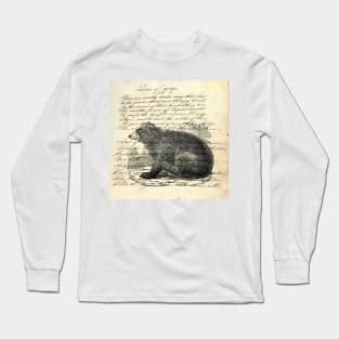 dark academia rustic cabin woodland animal mountain forest grizzly bear Long Sleeve T-Shirt